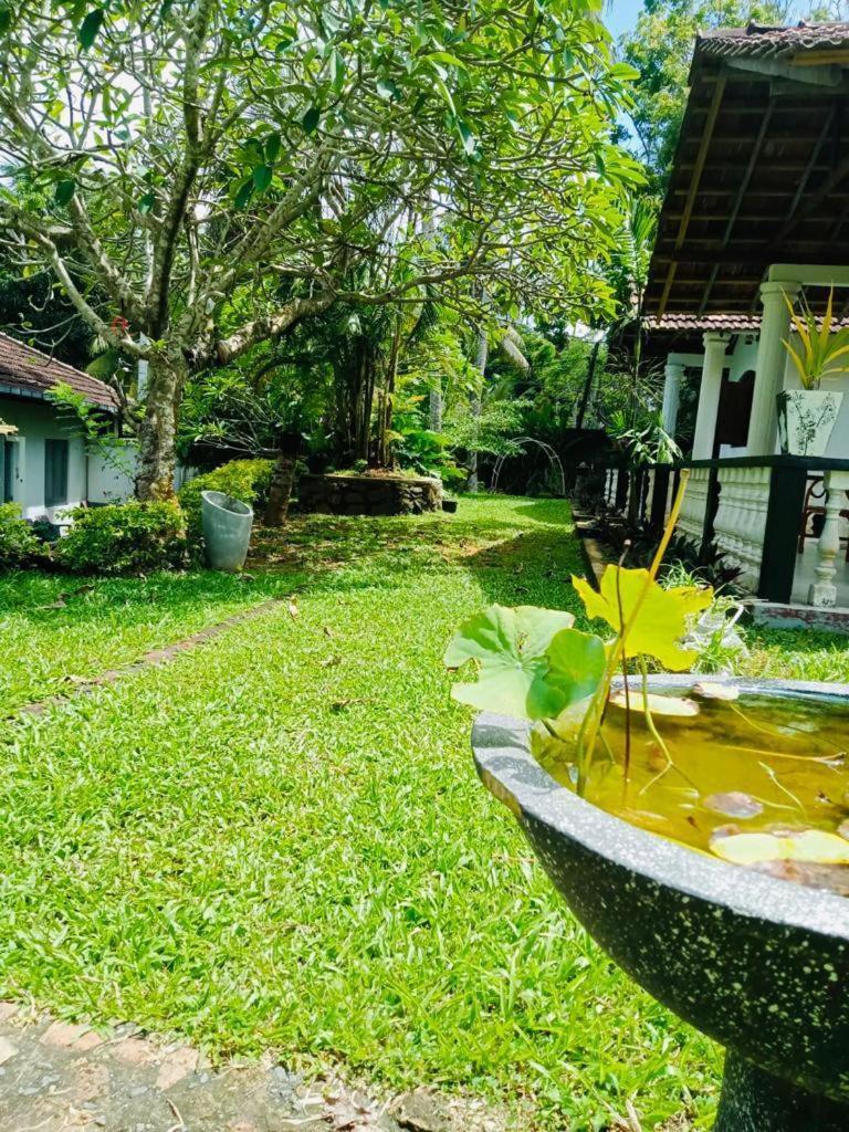 Hotel Freedom192 Weligama Esterno foto