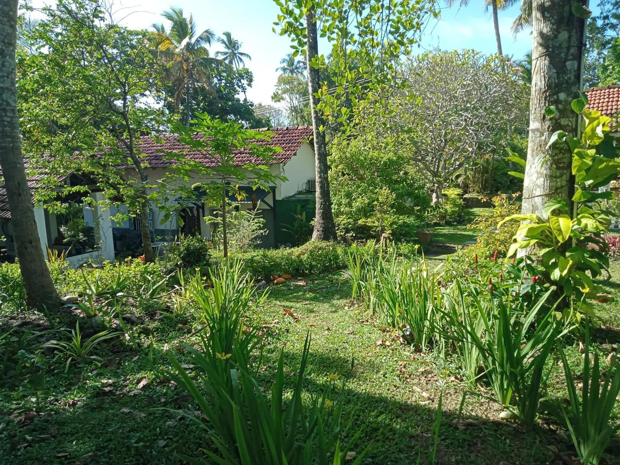 Hotel Freedom192 Weligama Esterno foto